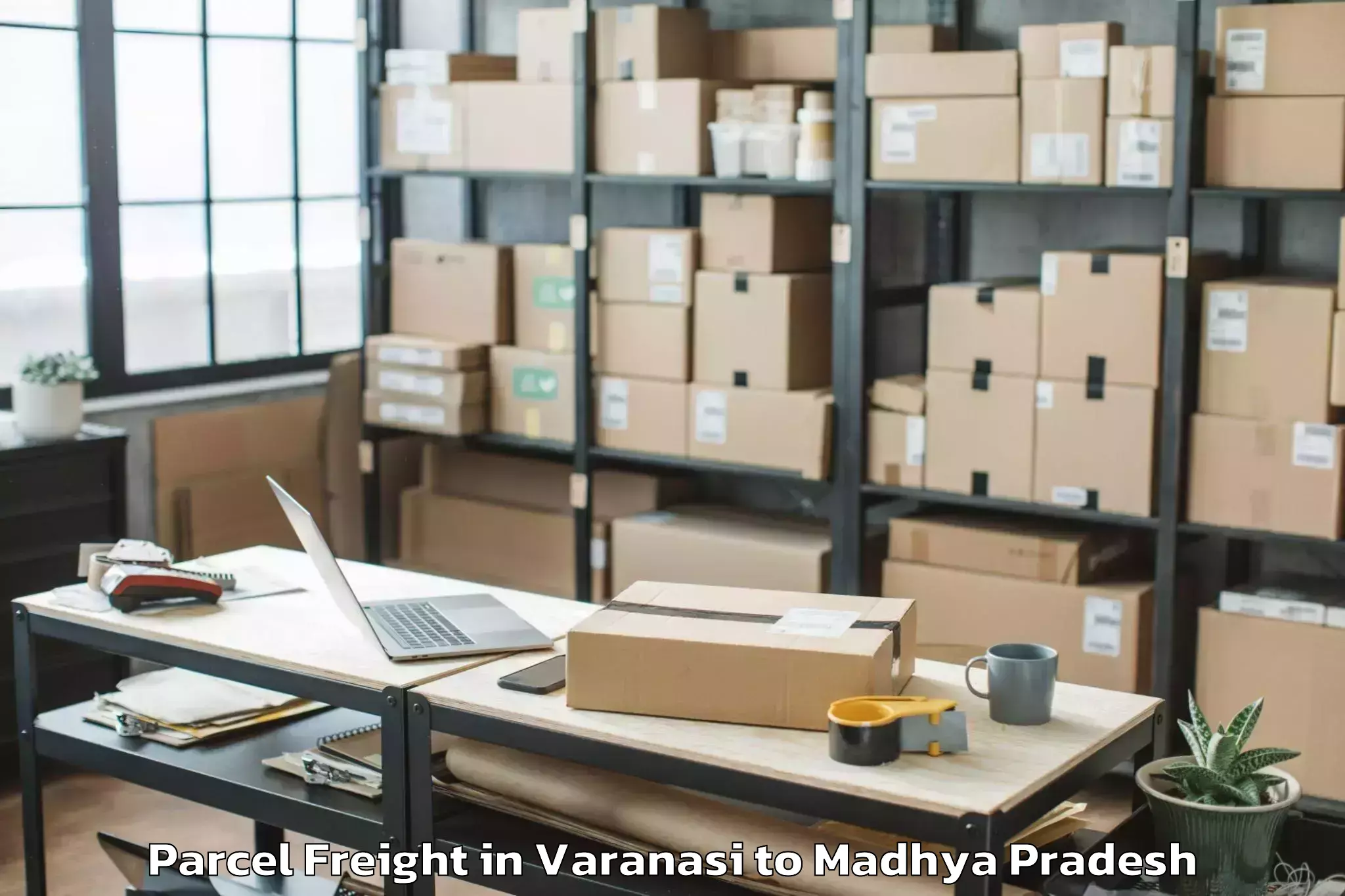 Book Varanasi to Barod Parcel Freight